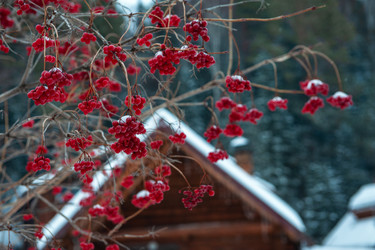 Similar image 21935924