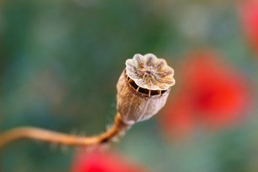 Similar image 21934219