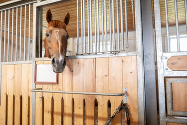 Similar image 21941898