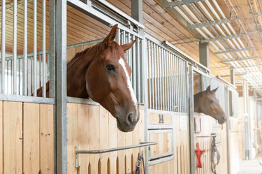 Similar image 21941899