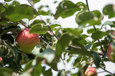 Similar image 21940739