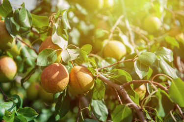 Similar image 21940745