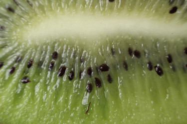 Similar image 21936943