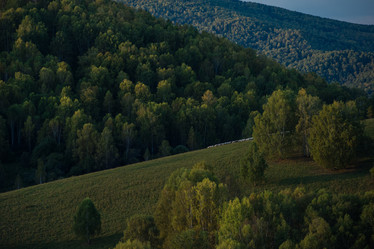 Similar image 21944170