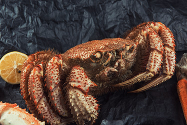 Similar image 21943668