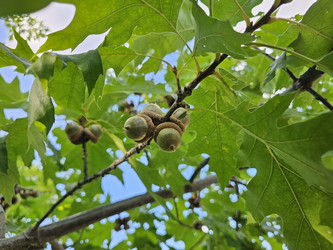 Similar image 21911467