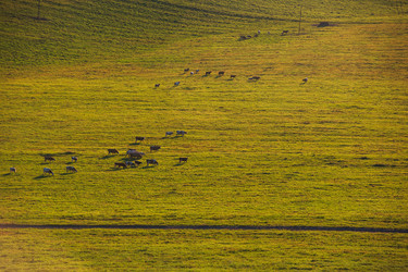 Similar image 21941533