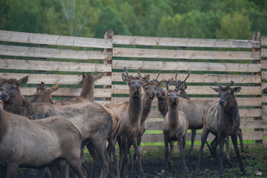 Similar image 21941699