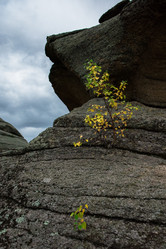 Similar image 21941449