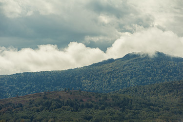 Similar image 21941705