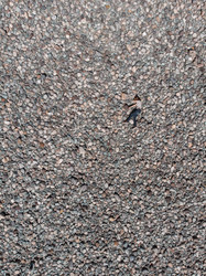 Similar image 21940434