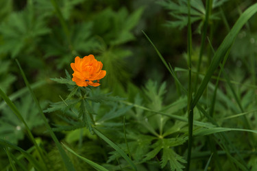 Similar image 21940495