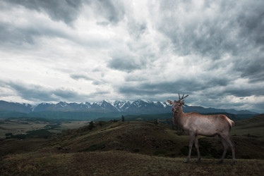 Similar image 21941357