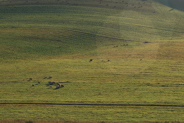 Similar image 21940991