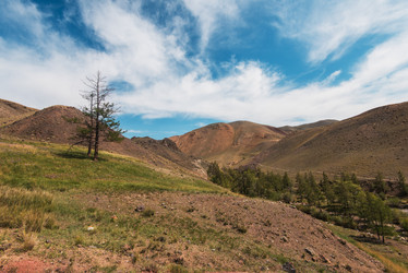 Similar image 21942754