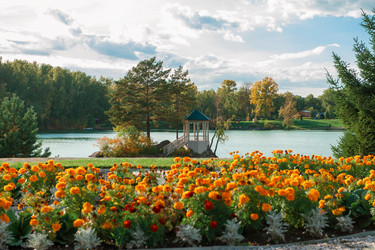 Similar image 21936473