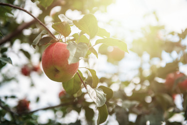 Similar image 21936481