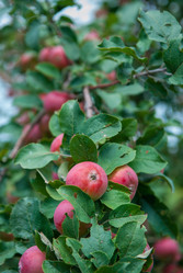 Similar image 21936487