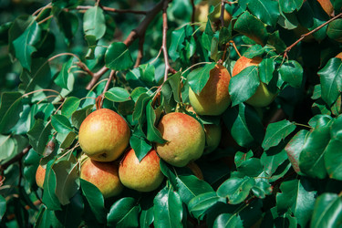 Similar image 21936489