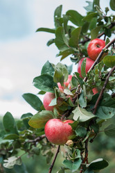 Similar image 21944203