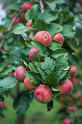 Similar image 21944205