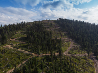 Similar image 21935992