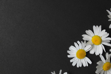 Similar image 21936946