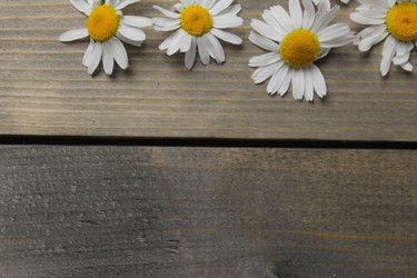 Similar image 21936948