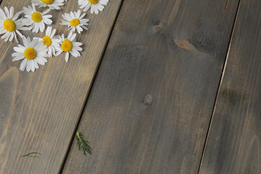 Similar image 21936949