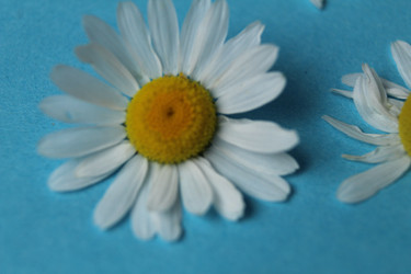 Similar image 21936950