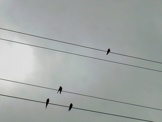 Similar image 21911965