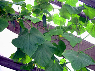 Similar image 21911966