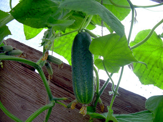 Similar image 21911967