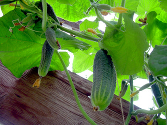 Similar image 21911968