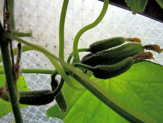 Similar image 21911970