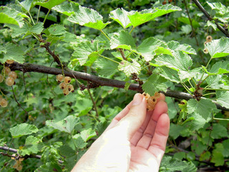 Similar image 21911971