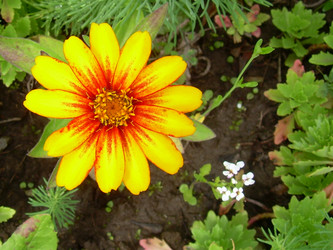 Similar image 21911972