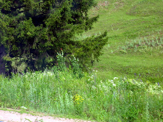 Similar image 21911973