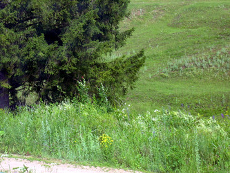 Similar image 21911975