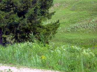 Similar image 21911976