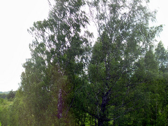 Similar image 21911979