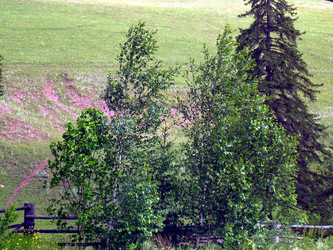 Similar image 21911980