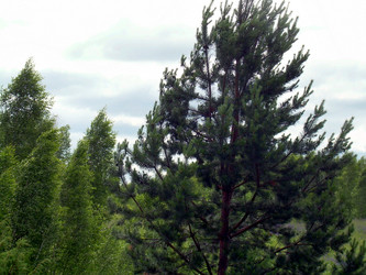 Similar image 21911981