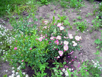 Similar image 21911984