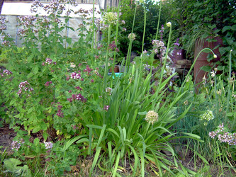 Similar image 21911989