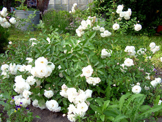 Similar image 21911990