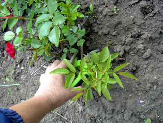 Similar image 21911991