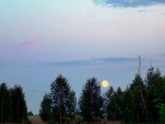 Similar image 21911992