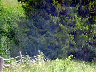 Similar image 21911994