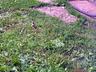 Similar image 21911996